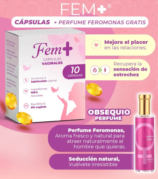 FEM+ [PV2-META-TOPGUA]